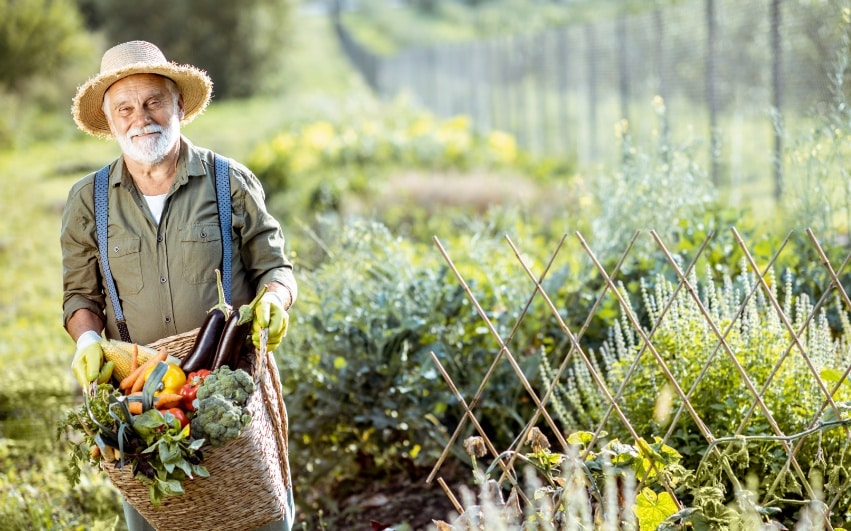 Agricultor idoso sorrindo carregando uma sacola de vime com diversas frutas e verduras dentro.